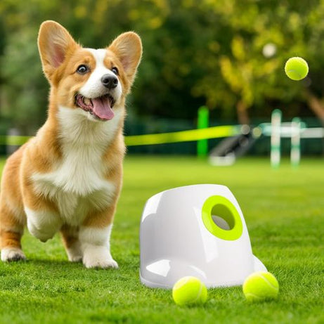 pet ball roler