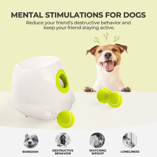 pet ball roler