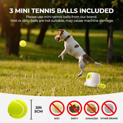 pet ball roler