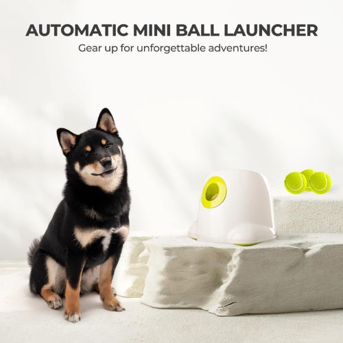 pet ball roler